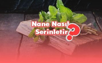 nane-nasil-serinletir